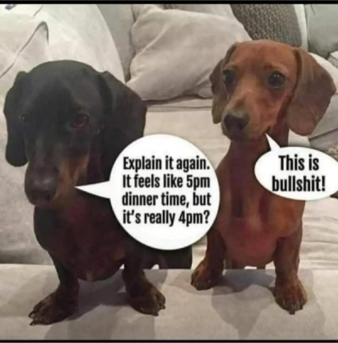 Explain it again. It feels like 5pm dinner time, but it's really 4pm?\nThis is bullshit!