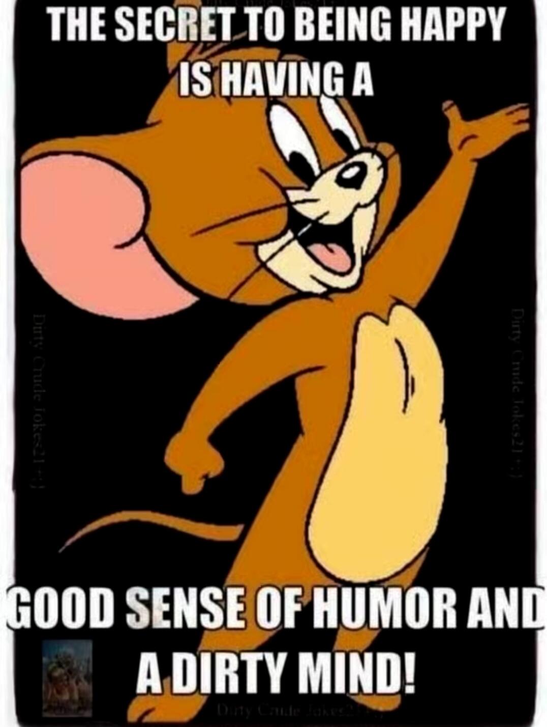 THE SECRET TO BEING HAPPY IS HAVING A GOOD SENSE OF HUMOR AND A DIRTY MIND!