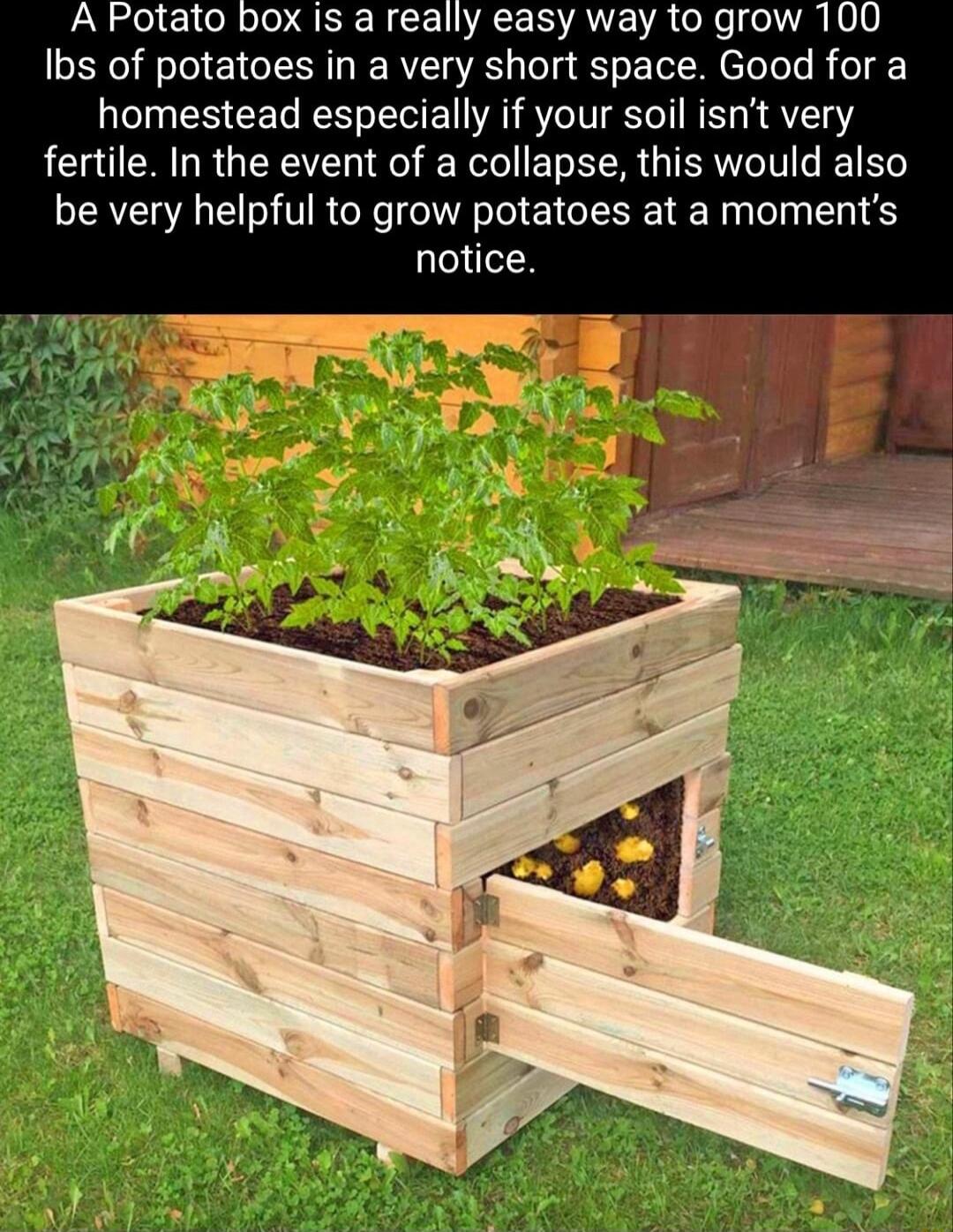 A Potato box Is a really easy way to grow 100 Ibs of potatoes in a very short space Good for a homestead especially if your soil isnt very fertile In the event of a collapse this would also be very helpful to grow potatoes at a moments notice