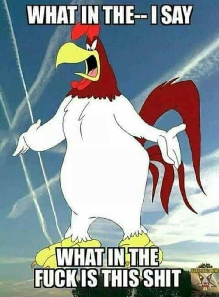 WHAT IN THE- I SAY WHAT IN THE FUCK IS THIS SHIT