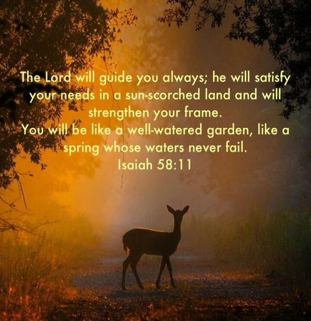 The Lord will guide you always; he will satisfy your needs in a sun-scorched land and will strengthen your frame. You will be like a well-watered garden, like a spring whose waters never fail. Isaiah 58:11