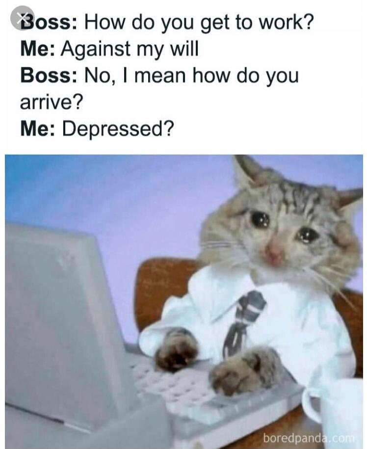 Boss: How do you get to work? Me: Against my will Boss: No, I mean how do you arrive? Me: Depressed?