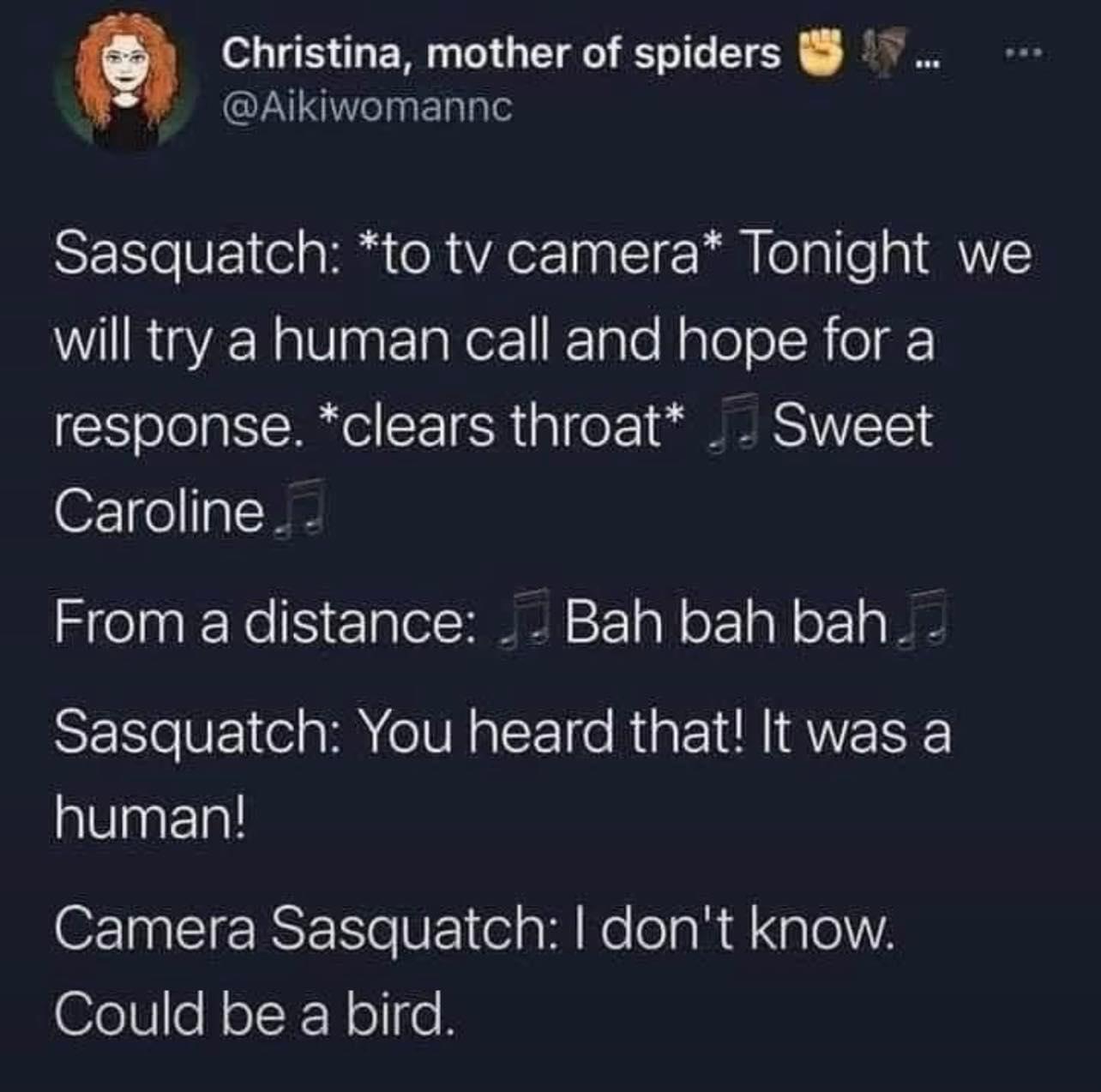 9 Christina mother of spiders V Aikiwomannc Sasquatch to tv camera Tonight we LI ReaY2 N 0agFTalor1 FTale NaloTo IR oT response clears throat Sweet O o al From a distance Bah bah bah Sasquatch You heard that It was a human O ST RS UE el W Ne eTa i Xa e 1A Could be a bird