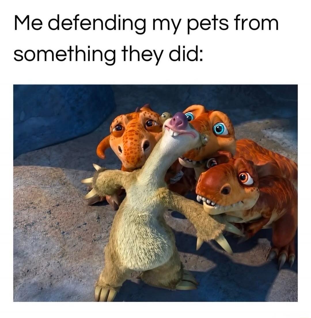 Me defending my pets from something they did:
