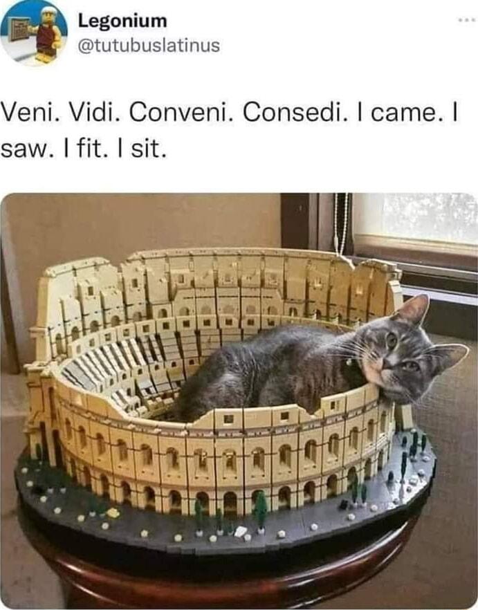 Legonium tutubuslatinus Veni Vidi Conveni Consedi came saw fit sit
