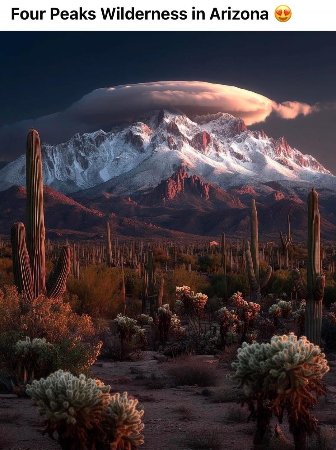 Four Peaks Wilderness in Arizona
