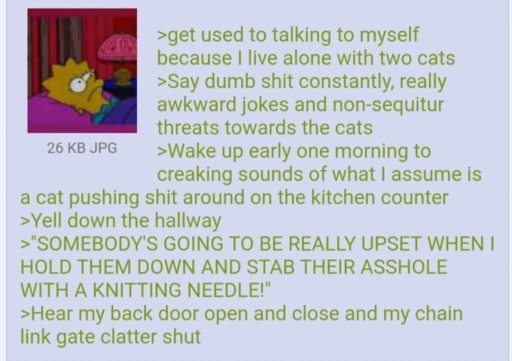 i Anonymous 021622Wed03 28 No163991421 get used to talking to myself because live alone with two cats Say dumb shit constantly really awkward jokes and non sequitur threats towards the cats 26 KB JPG Wake up early one morning to creaking sounds of what assume is a cat pushing shit around on the kitchen counter Yell down the hallway SOMEBODYS GOING TO BE REALLY UPSET WHEN HOLD THEM DOWN AND STAB TH