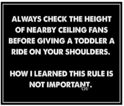 ALWAYS CHECK THE HEIGHT OF NEARBY CEILING FANS BEFORE GIVING A TODDLER A RIDE ON YOUR SHOULDERS. HOW I LEARNED THIS RULE IS NOT IMPORTANT.