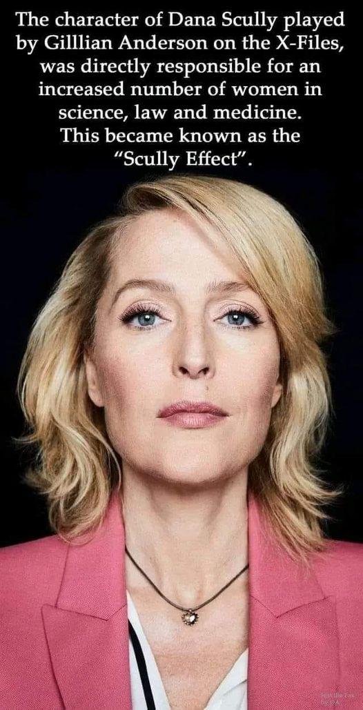 The character of Dana Scully played by Gilllian Anderson on the X Files was directly responsible for an increased number of women in science law and medicine This became known as the Scully Effect