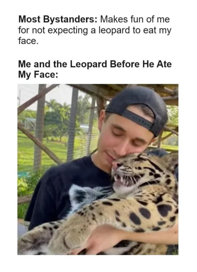 Most Bystanders Makes fun of me for not expecting a leopard to eat my face Me and the Leopard Before He Ate My Face
