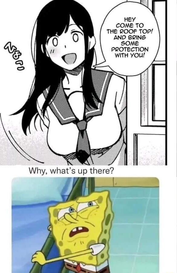 2320QPx BEE QagvcE Why whats up there