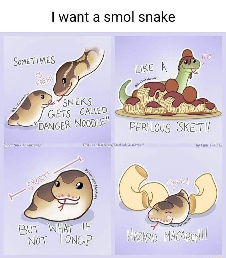 want a smol snake SOMETIMES D 7NEKS GETS CAUED DANGER NOODLE PERlLous sml tk s et et po v i pur WHAT 1P NotT LONG