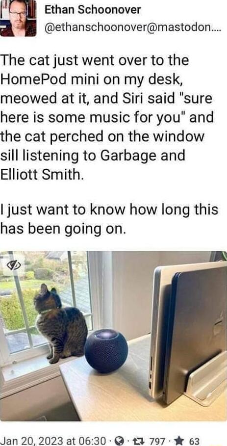 F Ethan Schoonover a ethanschoonovermastodon The cat just went over to the HomePod mini on my desk meowed at it and Siri said sure here is some music for you and the cat perched on the window sill listening to Garbage and Elliott Smith just want to know how long this has been going on Jan 20 2023 at0630 3 797 63