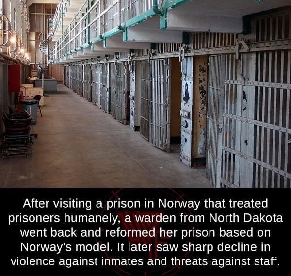 After visiting a prison in Norway that treated UL ST T WVAERUET R el NN es AN DET o went back and reformed her prison based on DNCTAWE VAT 1 ToTo T ECVCCT g VTS Y o Mo Tl T TN NG IR E TS R E S R I CEVSE L E T S weird factsorg factsweird