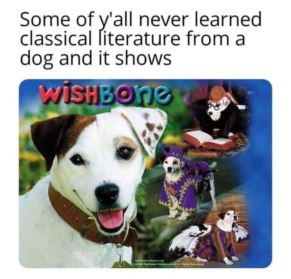 Some of yall never learned classical literature from a dog and it shows