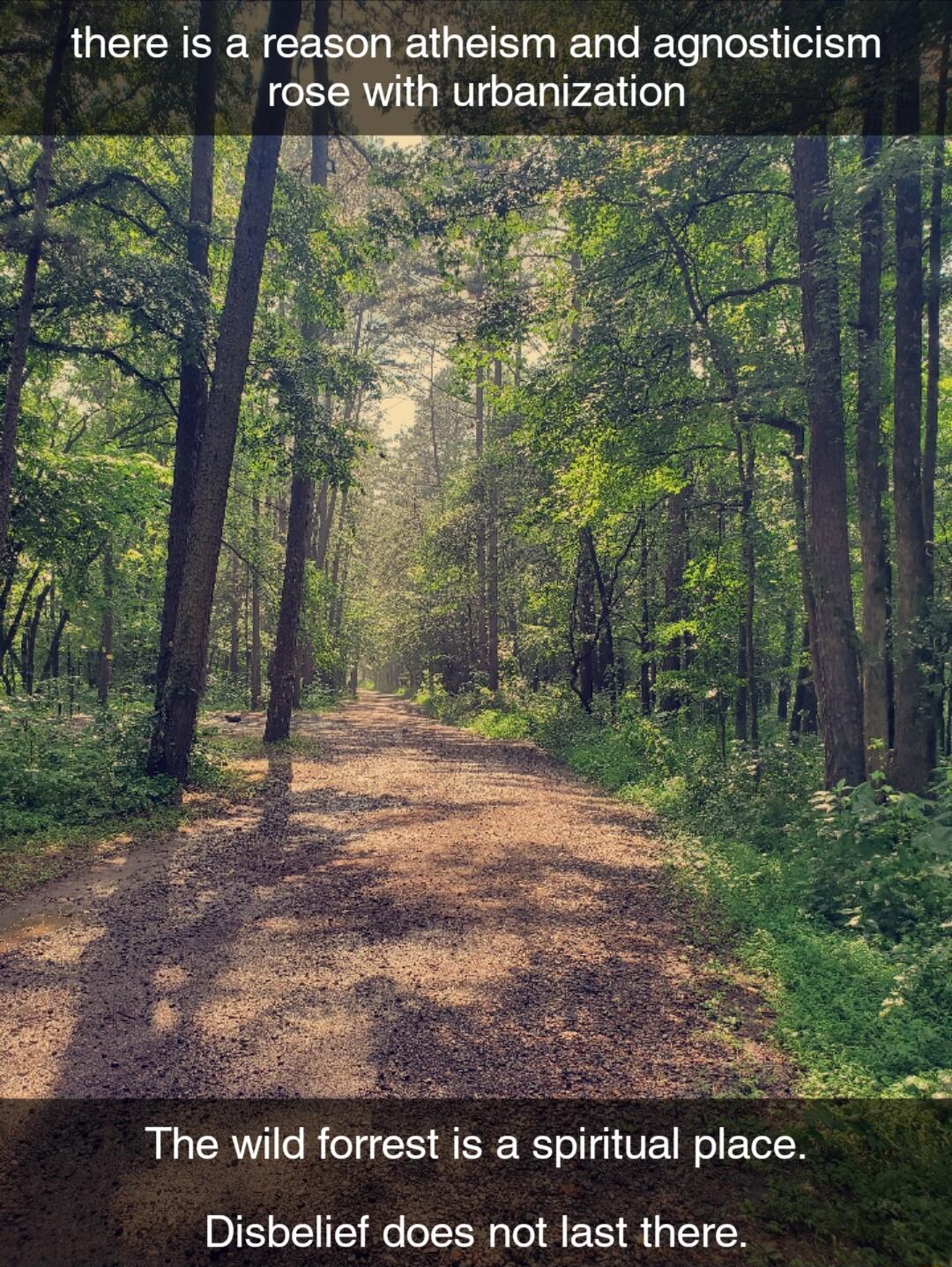 there is a reason atheism and agnosticism rose with urbanization The wild forrest is a spiritual place Disbelief does not last there