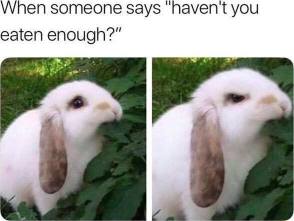 When someone says havent you eaten enough