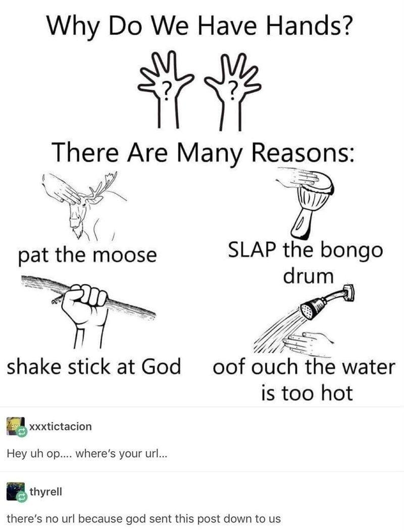Why Do We Have Hands There Are Many Reasons T Z QT R pat the moose SLAP the bongo e drum _ fj f 2 shake stick at God oof ouch the water is too hot Y Exxxtictacion Hey uh op wheres your url B thyrell theres no url because god sent this post down to us