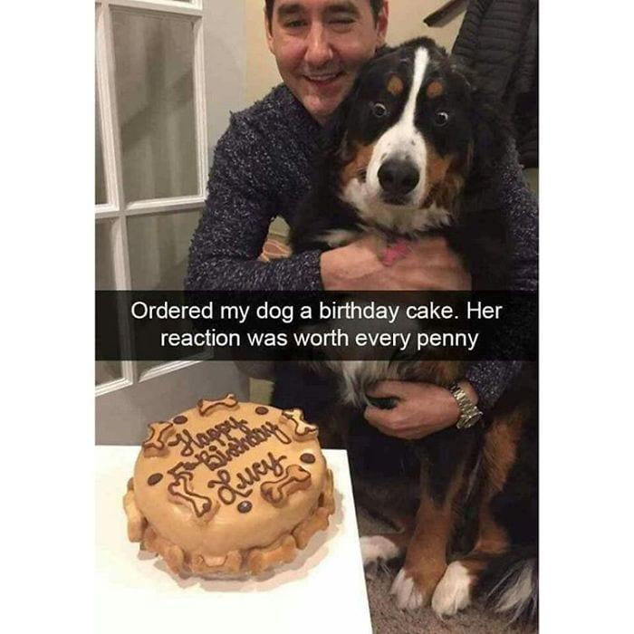 Ordered my dog a birthday cake Her reaction was worth every penny