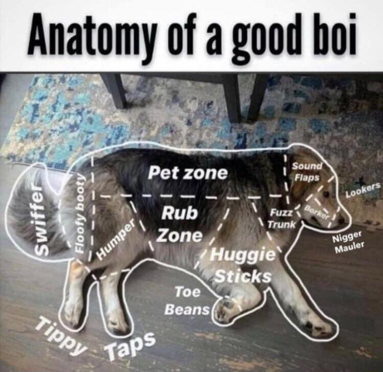 7 Antomy of a good boi