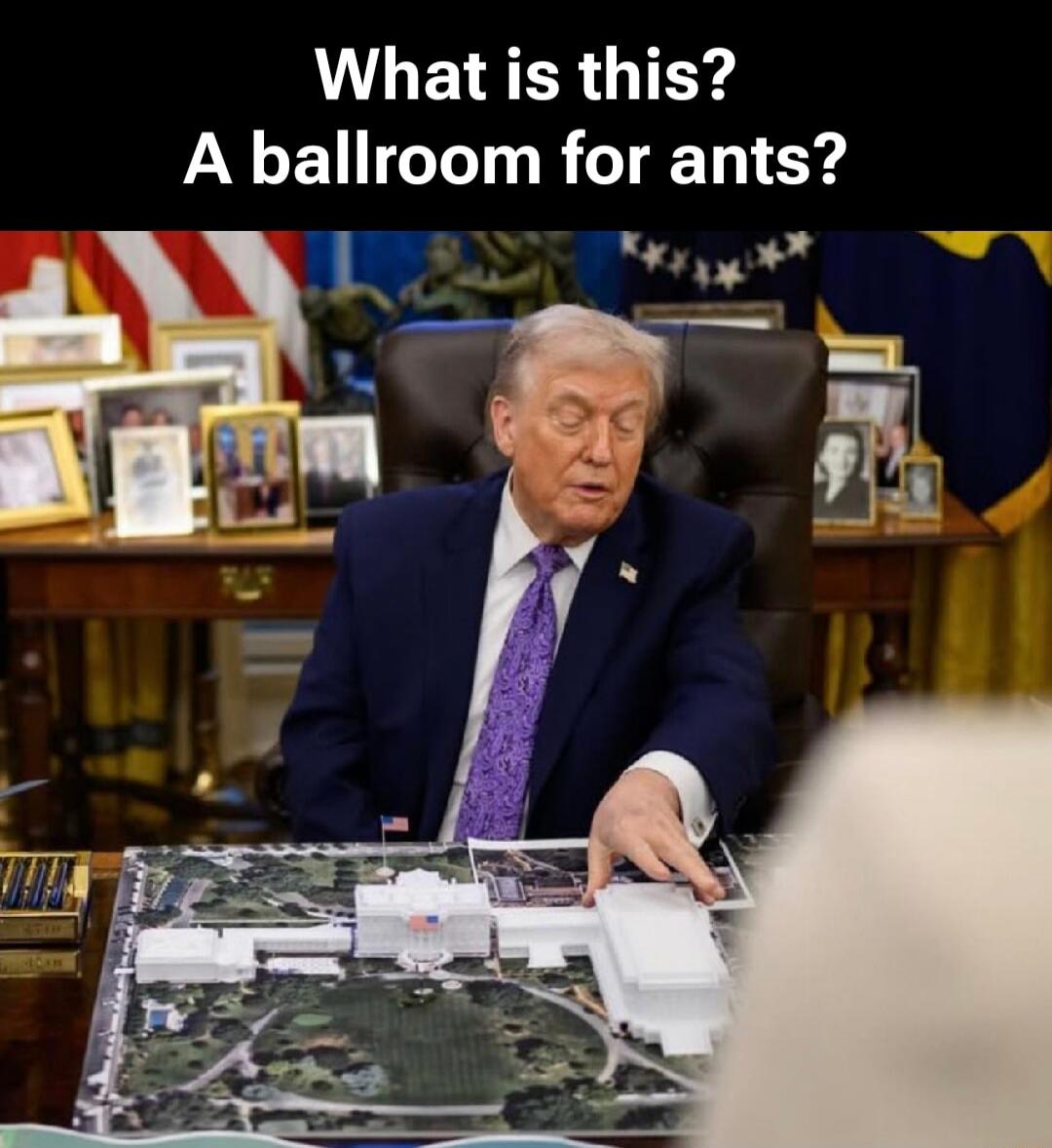 What is this? A ballroom for ants?