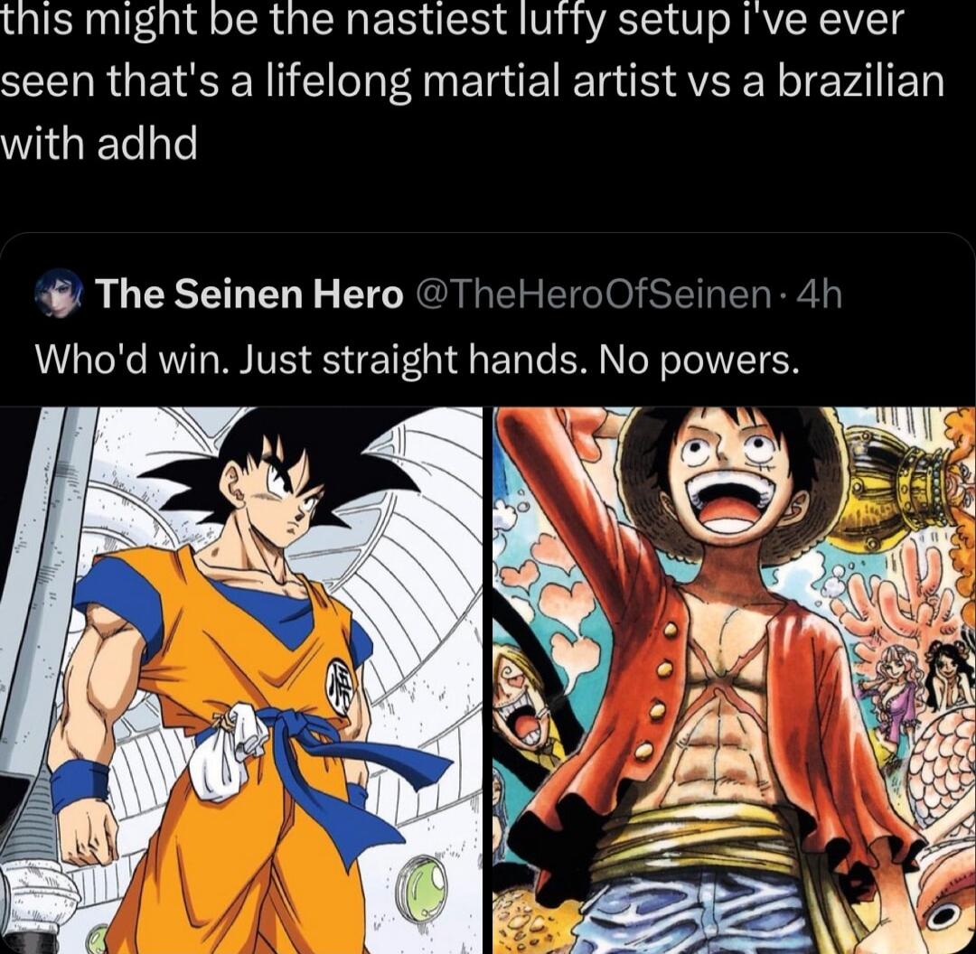 this might be the nastiest lufty setup Ive ever seen thats a lifelong martial artist vs a brazilian with adhd The Seinen Hero TheHeroOfSeinen 4 Whod win Just straight hands No powers