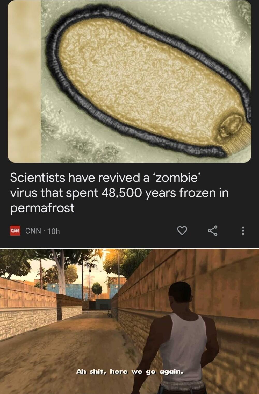 MBS EVEEVIVTe e Rrdelyy I8 virus that spent 48500 years frozen in permafrost B CNN 10h D Ah shit here we go again