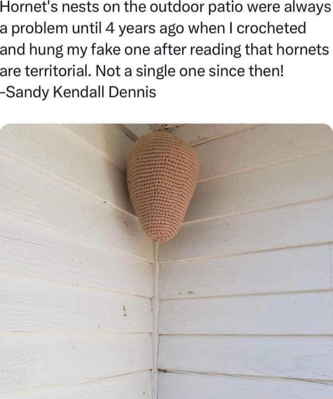 Hornets nests on the outdoor patio were always a problem until 4 years ago when crocheted and hung my fake one after reading that hornets are territorial Not a single one since then Sandy Kendall Dennis