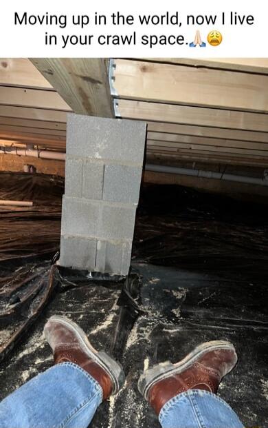 Moving up in the world now live in your crawl space