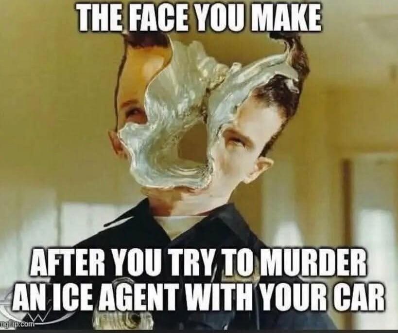 THE FACE YOU MAKE AFTER YOU TRY TO MURDER AN ICE AGENT WITH YOUR CAR