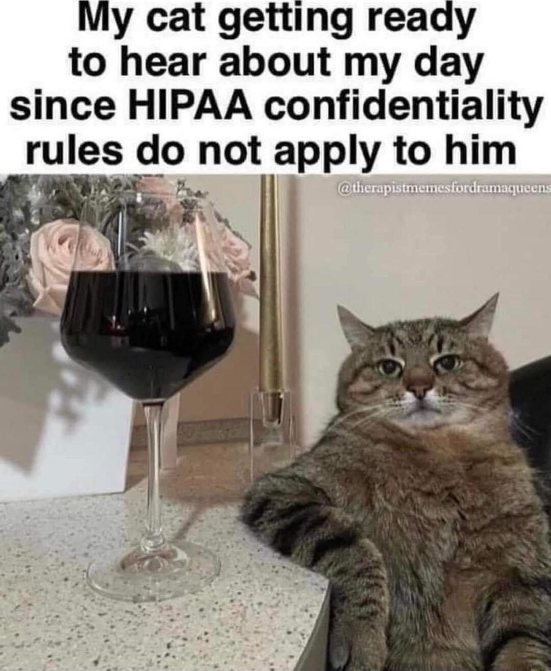 My cat getting ready to hear about my day since HIPAA confidentiality rules do not apply to him 4 _