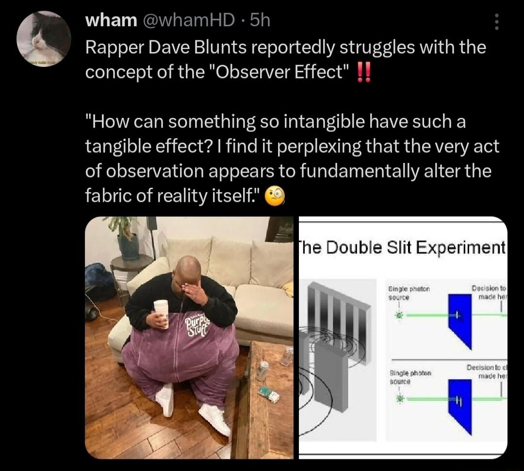 wham vhamHD 5h Rapper Dave Blunts reportedly struggles with the concept of the Observer Effect 11 How can something so intangible have such a tangible effect find it perplexing that the very act of observation appears to fundamentally alter the fabric of reality itself he Double Slit Experiment