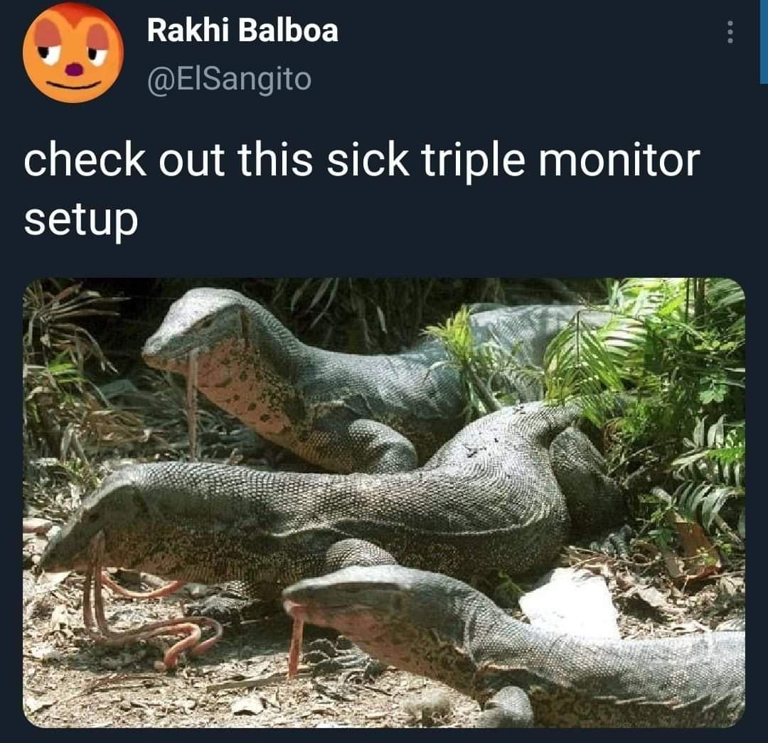 LELGIEEILLEY EARELIG check out this sick triple monitor setup 504 PM 09 Aug 21 Twitter Web App