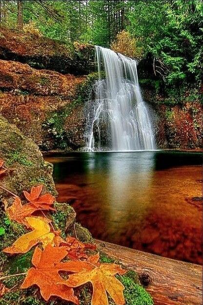 Waterfall in a forest with autumn leaves