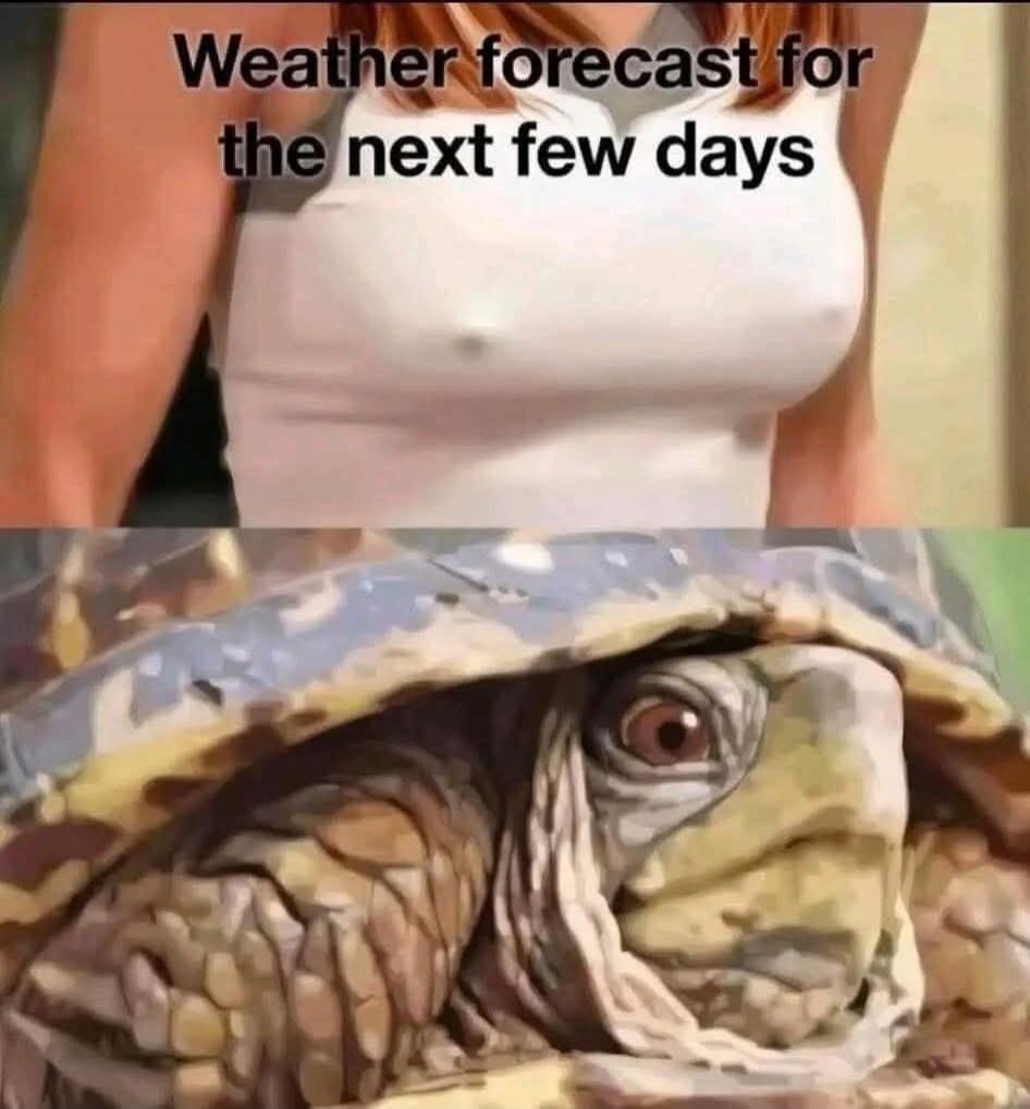 Weather forecast for the next few days