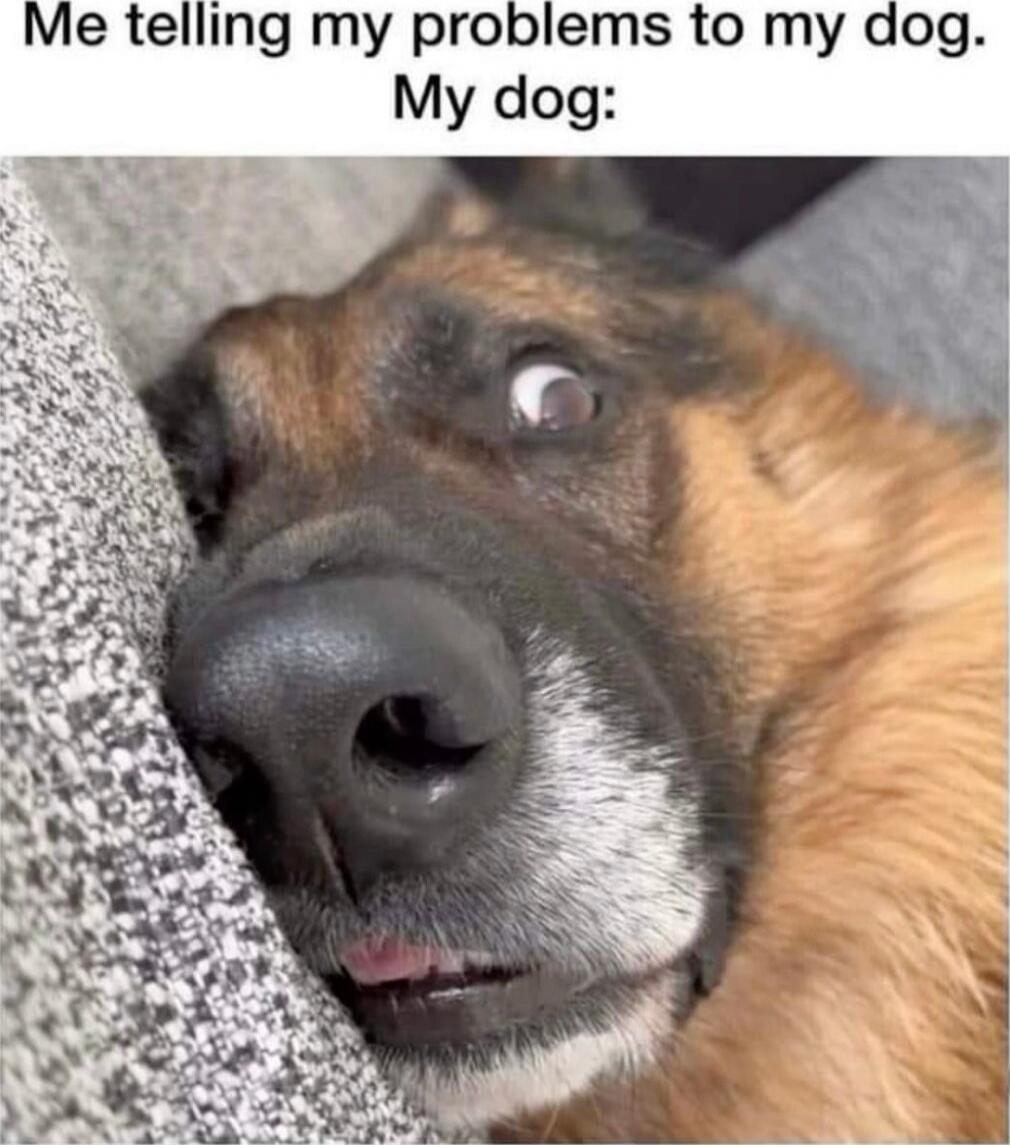 Me telling my problems to my dog. My dog: