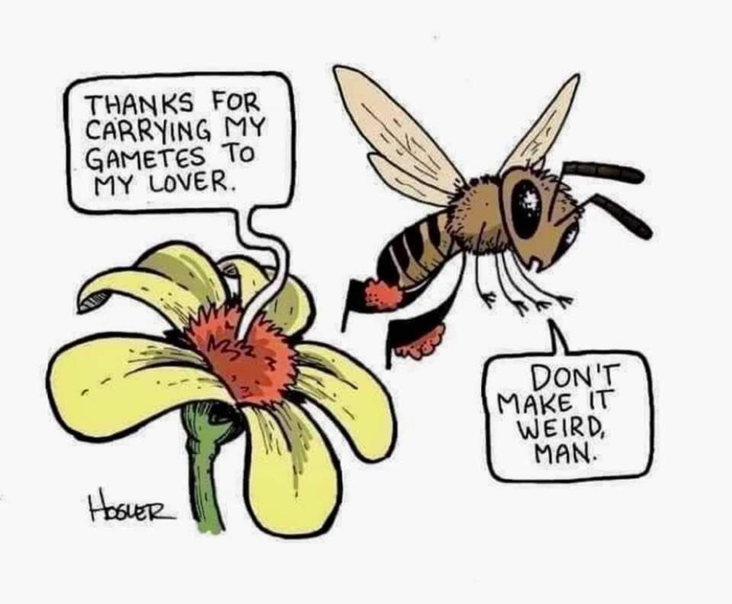 THANKS FOR CARRYING MY GAMETES TO MY LOVER