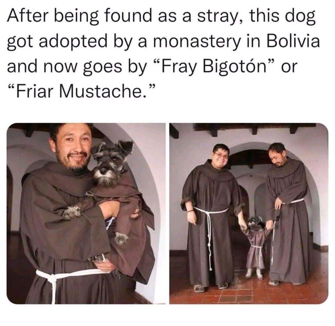 After being found as a stray this dog got adopted by a monastery in Bolivia and now goes by Fray Bigotn or Friar Mustache
