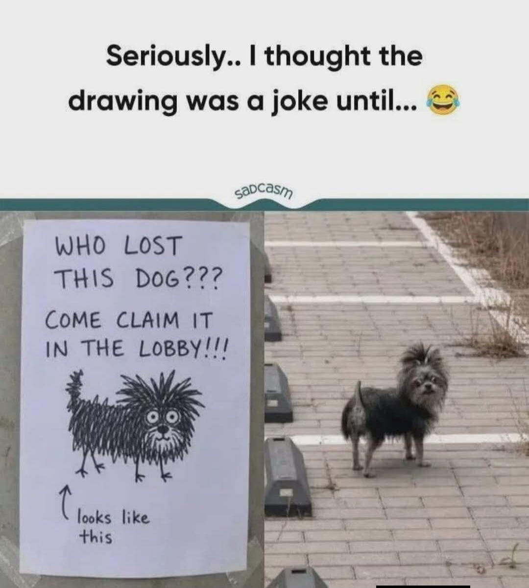 Seriously.. I thought the drawing was a joke until... 😂 sadcasm WHO LOST THIS DOG??? COME CLAIM IT IN THE LOBBY!!! looks like this