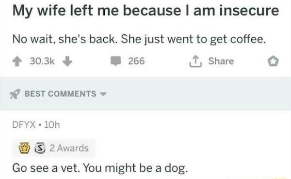 rJokes uIncubuzzer 11h 182 My wife left me because am insecure No wait shes back She just went to get coffee 4 303k W 266 1 Share BEST COMMENTS DFYX 10h 2Awards Go see a vet You might be a dog