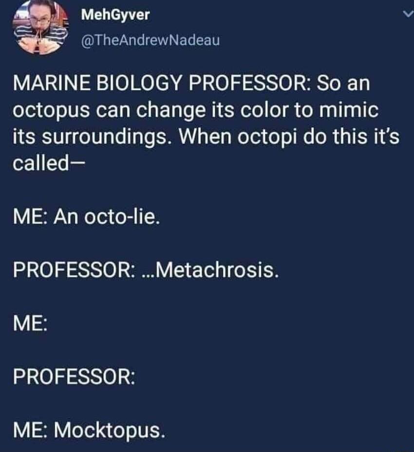 MehGyver S TheAndrewNadeau MARINE BIOLOGY PROFESSOR So an octopus can change its color to mimic its surroundings When octopi do this its called ME An octo lie PROFESSOR Metachrosis ME PROFESSOR ME Mocktopus