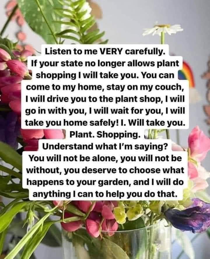 Listen to me VERY carefully If your state no longer allows plant shopping will take you You can come to my home stay on my couch 1 will drive you to the plant shop will go in with you will wait for you I will take you home safel will take you Plant Shopping J17 9 Understand what Im saying You will not be alone you will not be without you deserve to choose what 9 happens to your garden and will do 