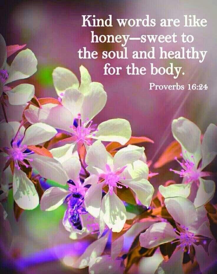 Kind words are like honey—sweet to the soul and healthy for the body. Proverbs 16:24