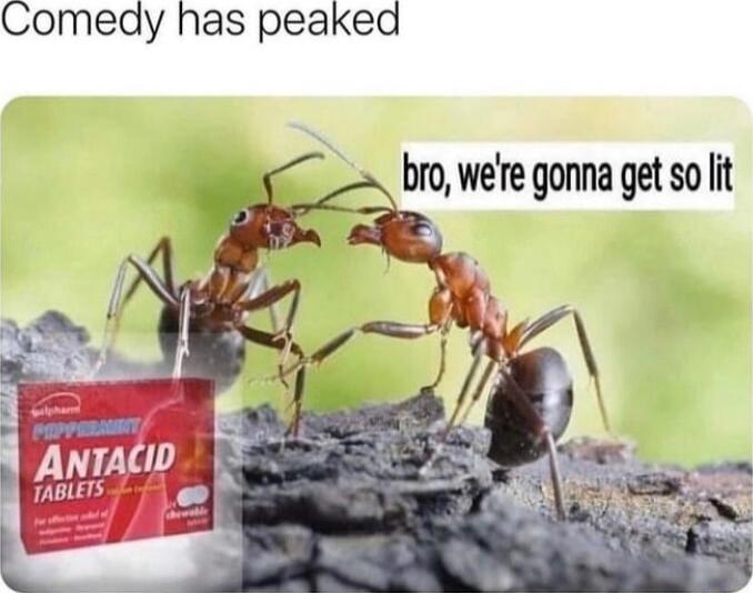 Comedy has peaked bro were gonna get so it