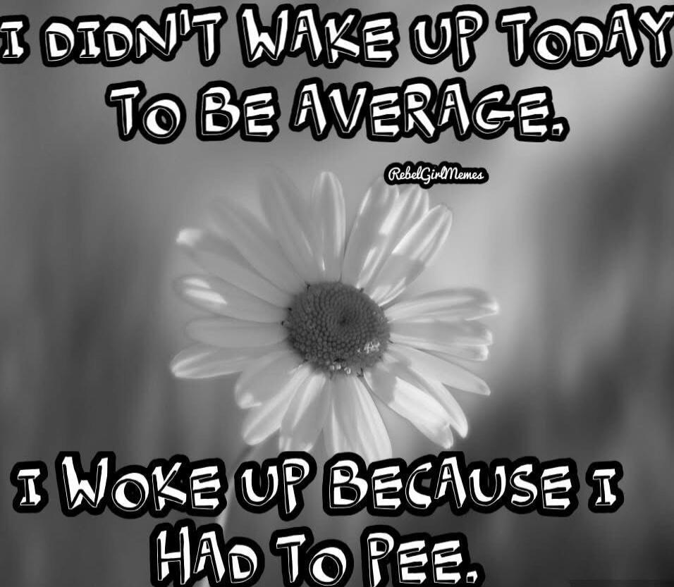 I didn't wake up today to be average. I woke up because I had to pee.