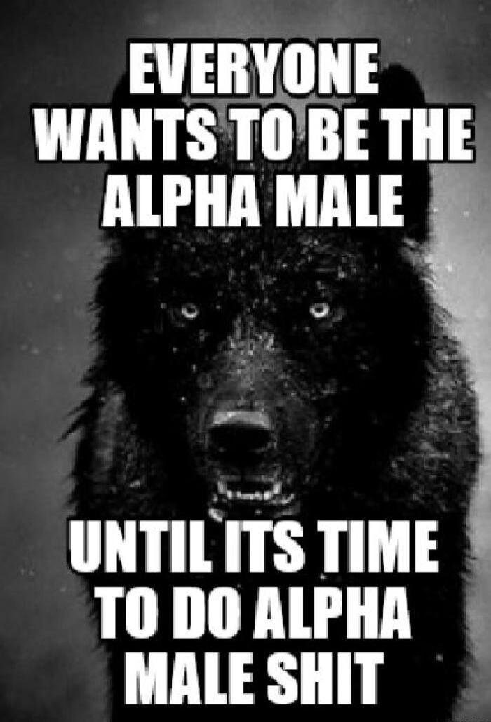 EVERYONE WANTS TO BE THE ALPHA MALE UNTIL ITS TIME TO DO ALPHA MALE SHIT