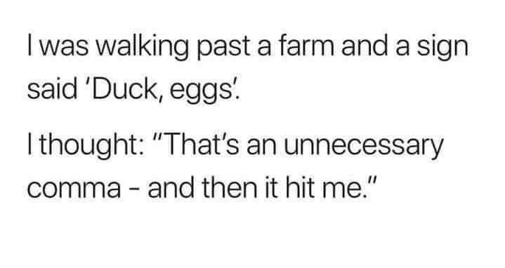 was walking past a farm and a sign said Duck eggs thought Thats an unnecessary comma and then it hit me