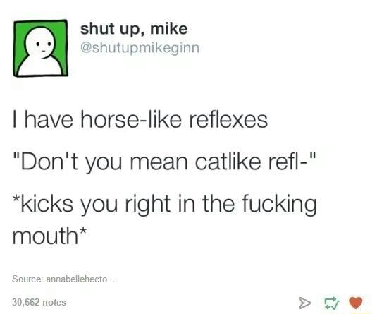 shut up mike shutupmikeginn have horse like reflexes Dont you mean catlike refl kicks you right in the fucking mouth 30662 notes 4