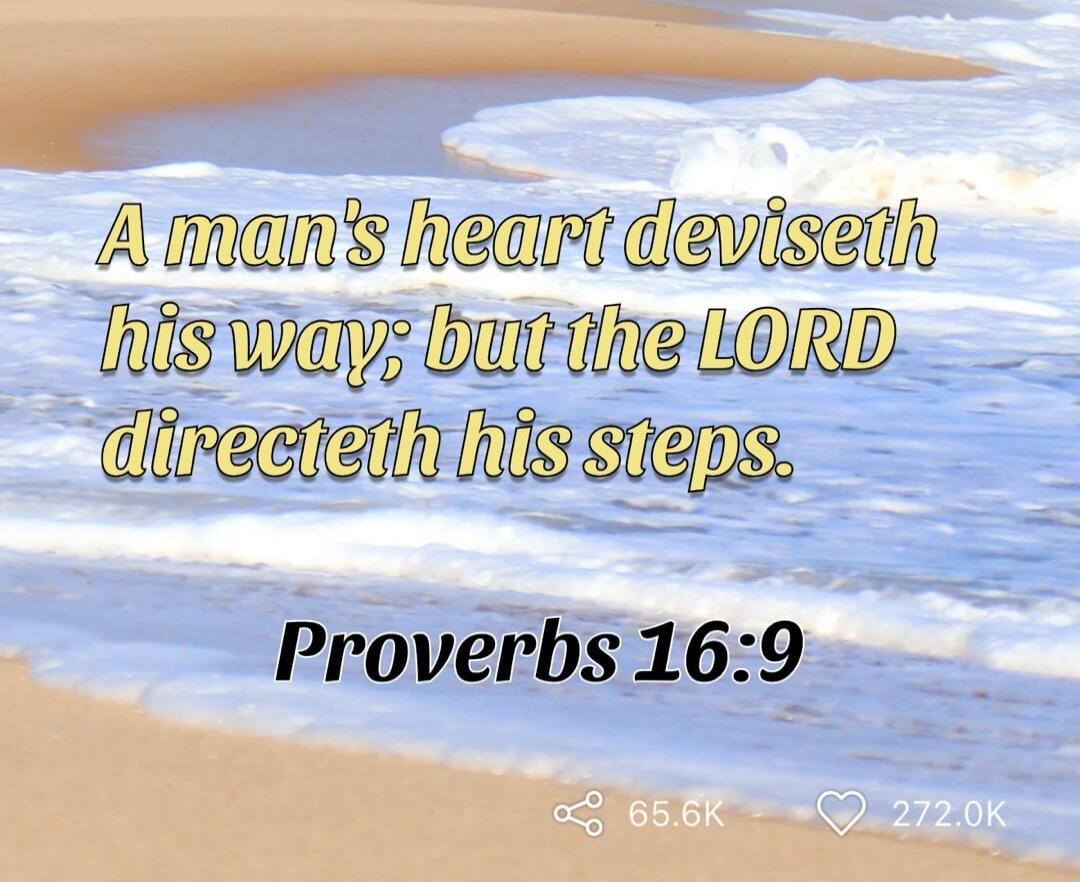 A man's heart deviseth his way; but the LORD directeth his steps. Proverbs 16:9