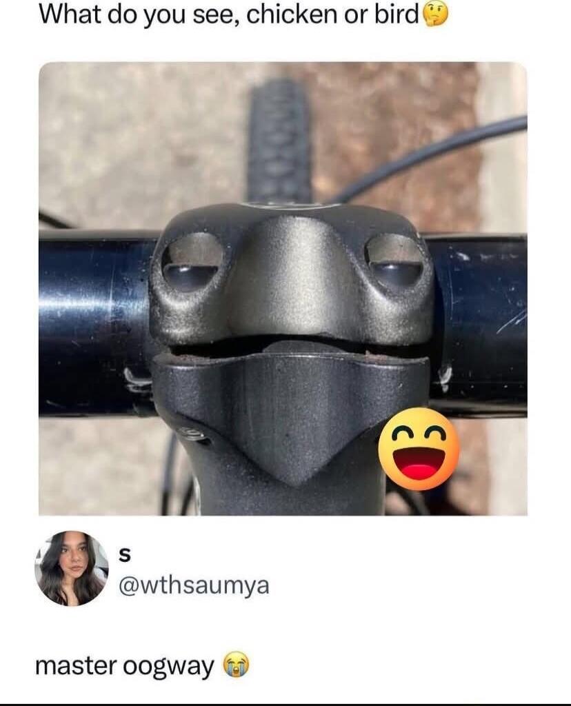 What do you see, chicken or bird🤔

master oogway 😭